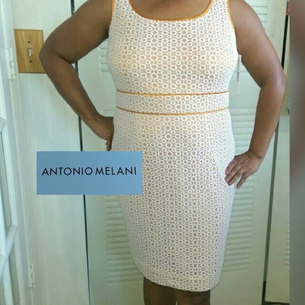 CLOSET CLEAROUT! Antonio Melani Agatha Dress